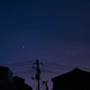 百姓色在线视频
