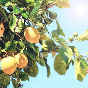 百姓色在线视频
