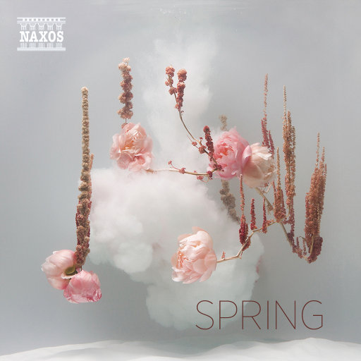 百姓色在线视频
